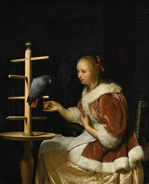 Frans van Mieris A Young Woman in a Red Jacket Feeding a Parrot china oil painting image